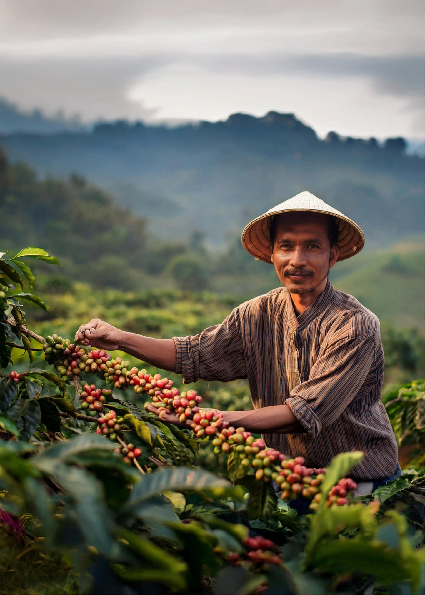 Coffeebean picker1